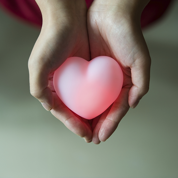 Hands holding a plastic heart